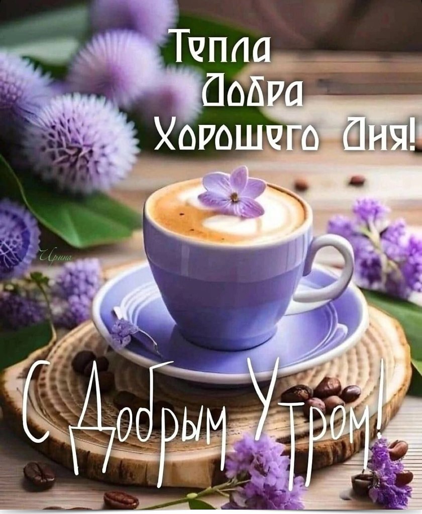 ~~~