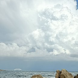 ���� ������, �����, 50 ��� - ��������� 23 ������ 2025