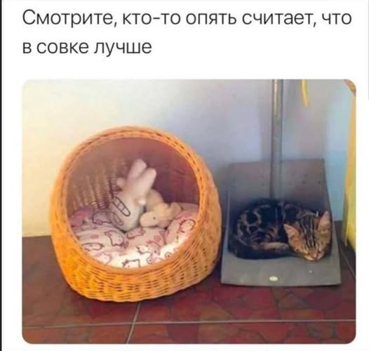   - 11  2025  18:32