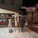 ���� ����� ����������, �����������, 66 ��� - ��������� 26 ������ 2026