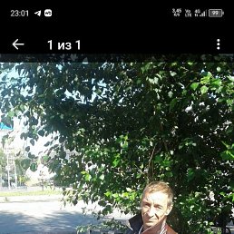 , 49 , 