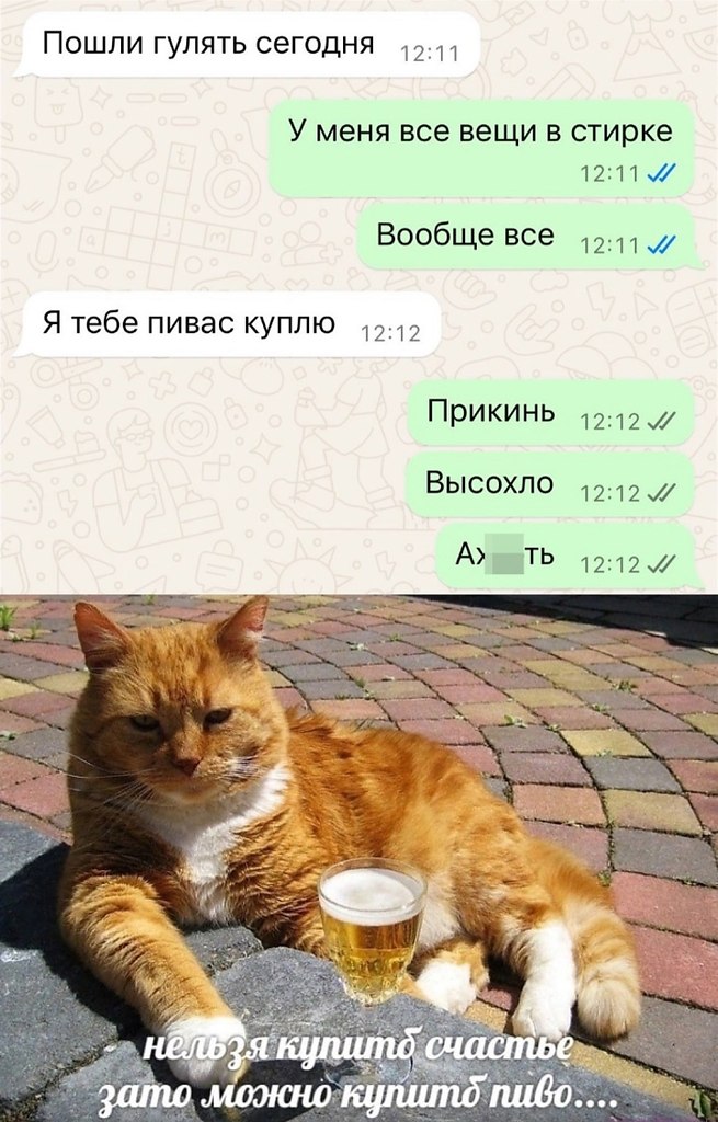  - 8  2025  16:04