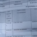 ���� ������� �����, ������, 54 ���� - ��������� 26 �������� 2024