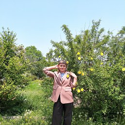 , 38, 