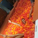 ���� �������, ������, 44 ���� - ��������� 14 ���� 2026 � ������ ���� ����������