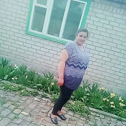 ���� �������, ����, 48 ��� - ��������� 17 ������ 2026