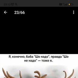 ����, ������-��-����, 48 ���