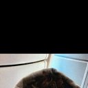 ���� ����, ���������, 20 ��� - ��������� 26 ������� 2023 � ������ ���� ����������
