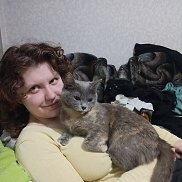 , 22 , 