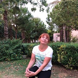 , 61, 