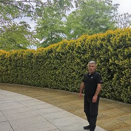 �������, ������������ ����, 51 ���