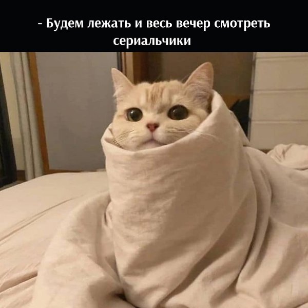       - 11  2025  12:56 - 2