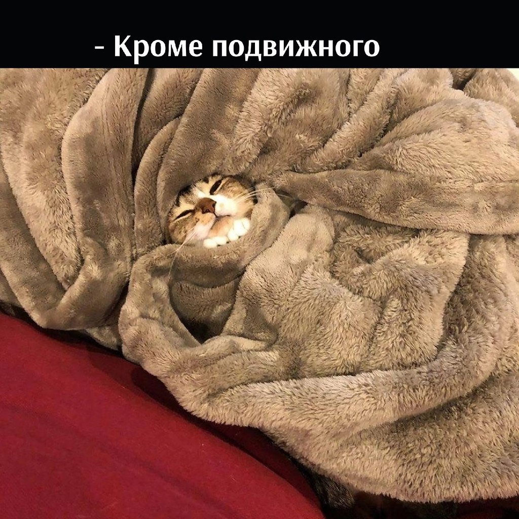       - 11  2025  12:56 - 4