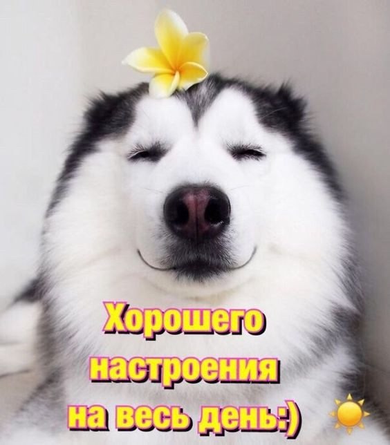  - 27  2024  05:47