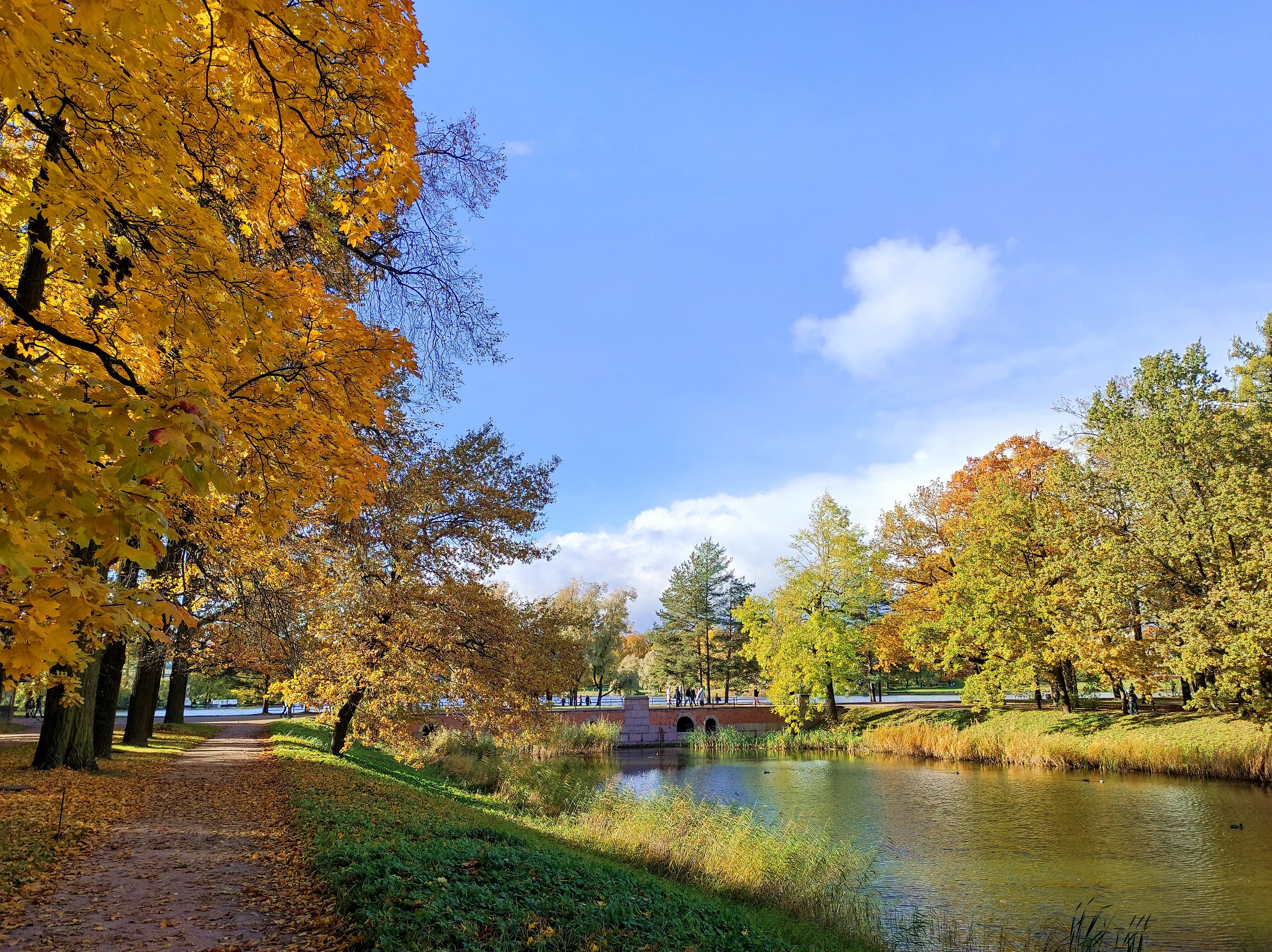  - 19  2025  11:13 - 2