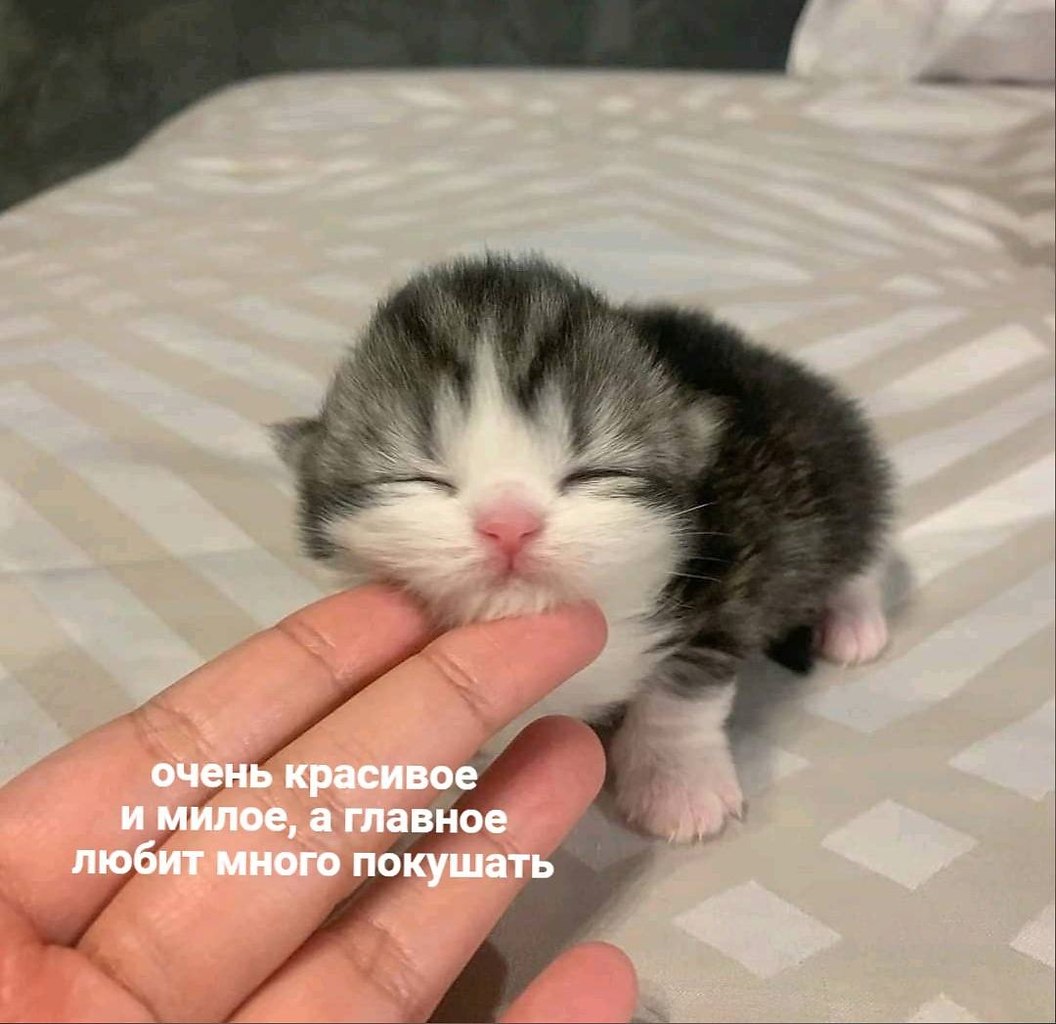    - 24  2023  13:31