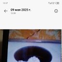 ���� ������, �����������, 55 ��� - ��������� 3 ��� 2026
