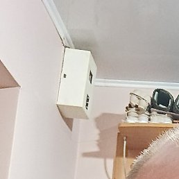 ����������, ������, 54 ����