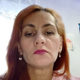 �����, ���������, 49 ���