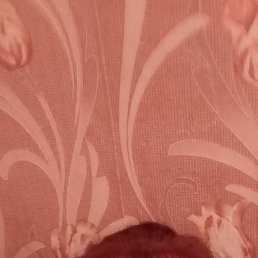 , 45, 