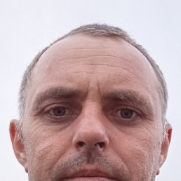, 40, 