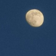 �������, 45 ���, �����