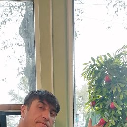 �������, ���������, 43 ����