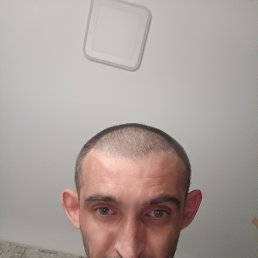 , 42, 