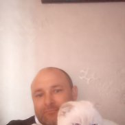 �����, 44 ����, ���������