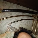 ���� ����, �������, 33 ���� - ��������� 31 ������� 2025 � ������ ���� ����������