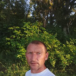 , 35, 