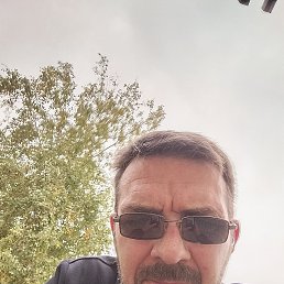 , 55, 