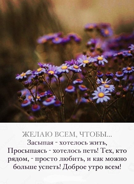 ***Victoria Viktorovna*** - 26  2024  05:39