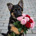 ���� ������, ���� - ��������� 5 ������� 2026 � ������ ������ ��������