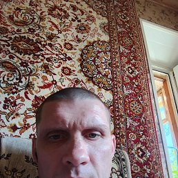 , 41, 