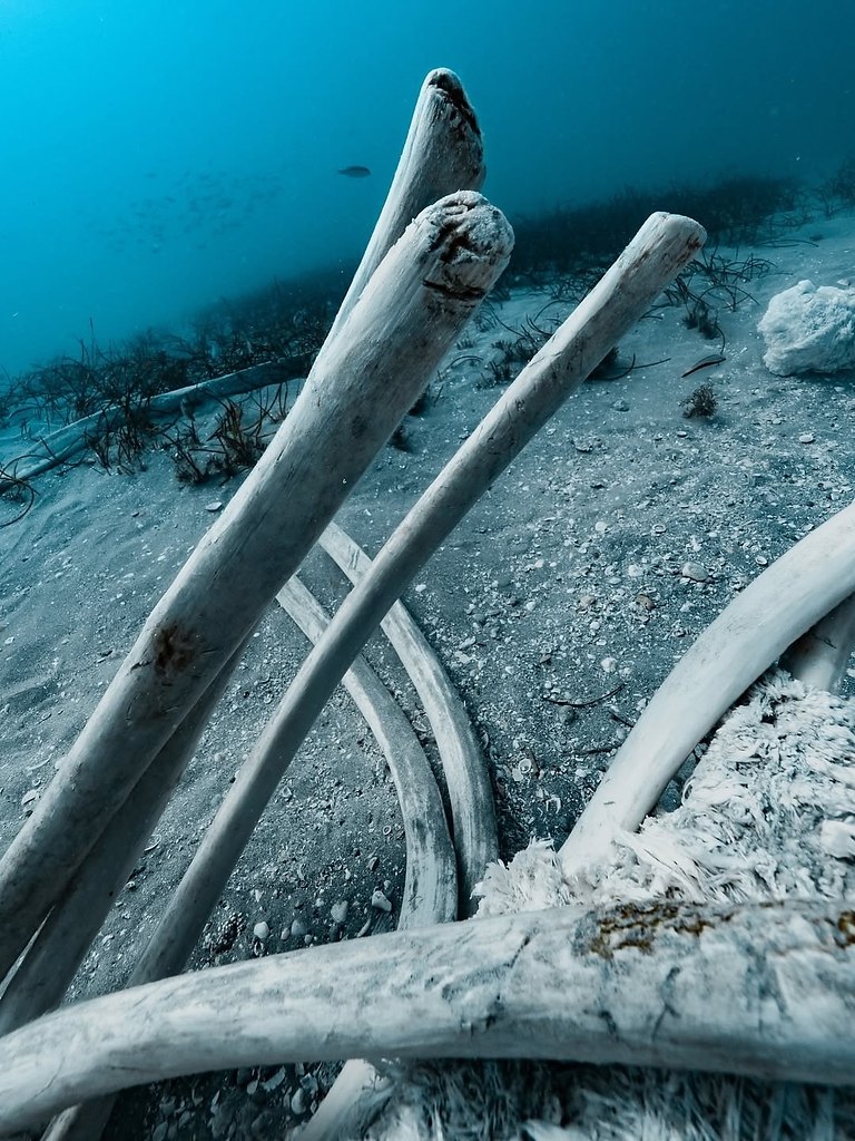  :    .       .   ... - 2