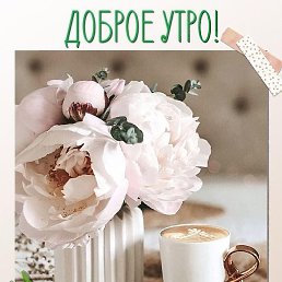 Gika, �������, 38 ���