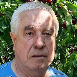 A��������, ���������, 74 ����