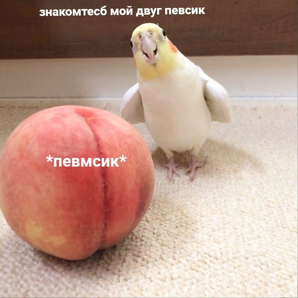    - 3  2024  02:15