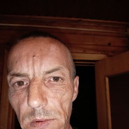 , 39, 