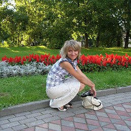 , 44, 