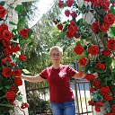 ���� ��������, ���������, 59 ��� - ��������� 28 ������ 2023