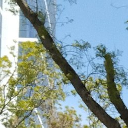 �����, ���������, 59 ���