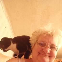 , 54, 