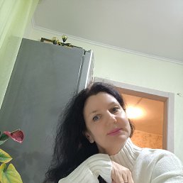 , 50, 