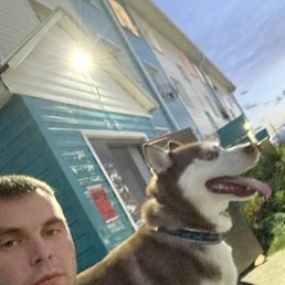 , 29, -