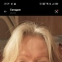 ���� �����, �����-���������, 47 ��� - ��������� 20 ���� 2026 � ������ ���� ����������