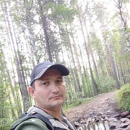 , 37, 