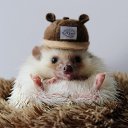 ���� ����, �����������, 37 ��� - ��������� 21 ������� 2025