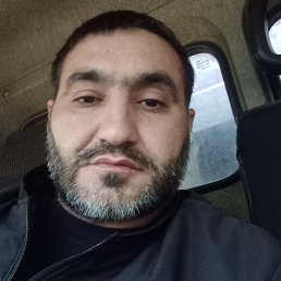 , 41, 